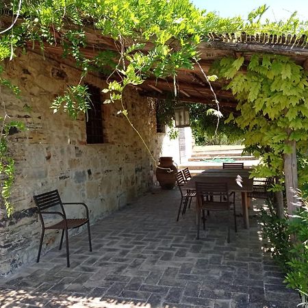 B&B Casale Ormano San Venanzo Ngoại thất bức ảnh